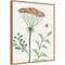 Springtime III Warm by Sara Zieve Miller 23-in. W x 28-in. H. Canvas Wall Art Print Framed in Natural